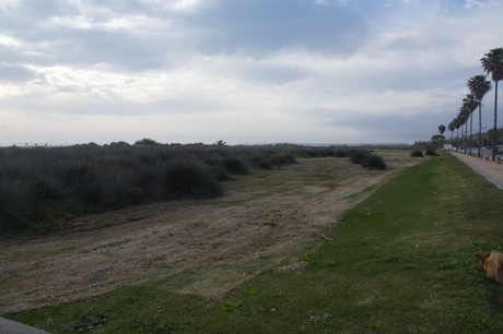 Conil de la Frontera